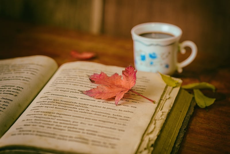 Open book on a table